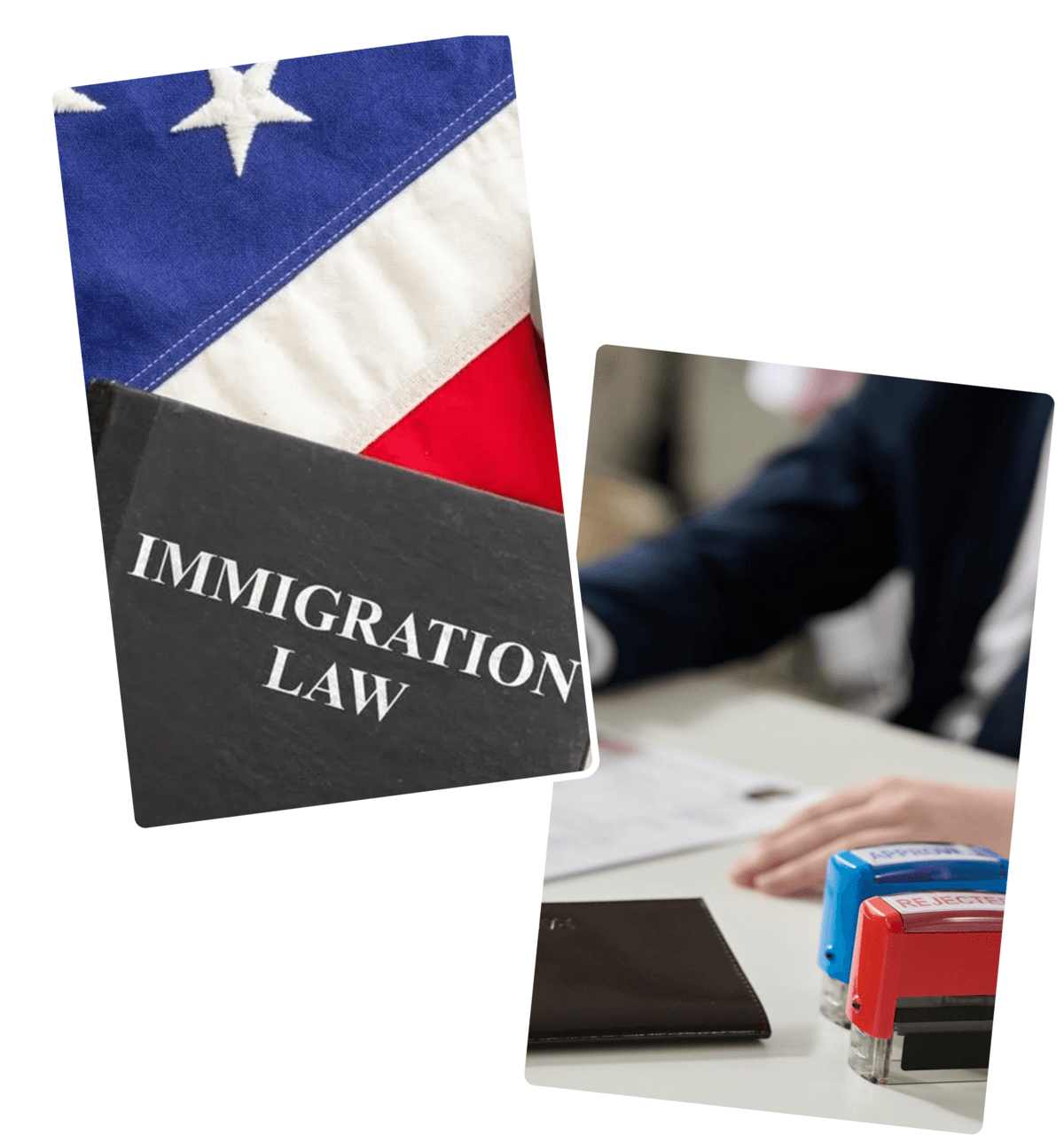 Immigration law